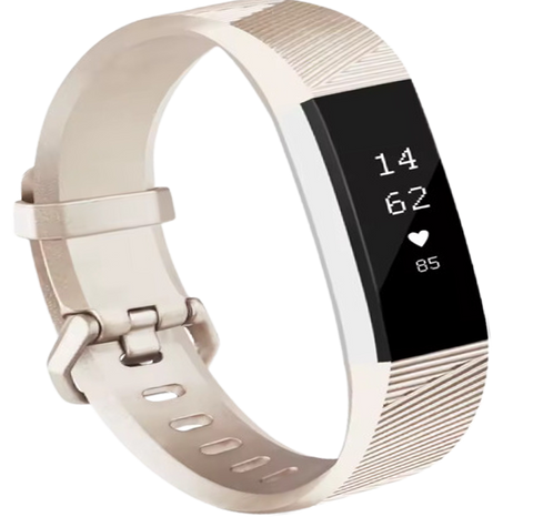 Fitbit Alta HR Sportbandje - Zilver